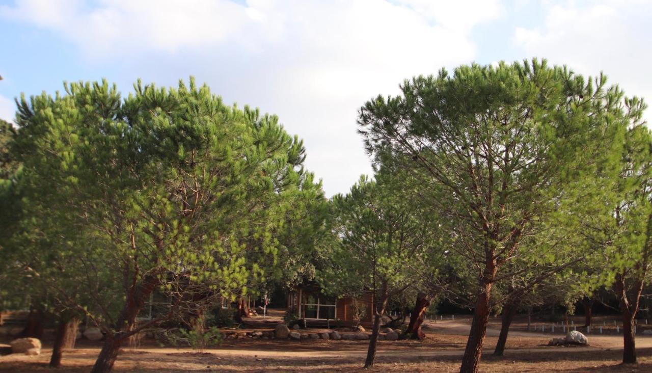PETRA LEGNA - Résidence les jardins du golfe Porto Vecchio Esterno foto