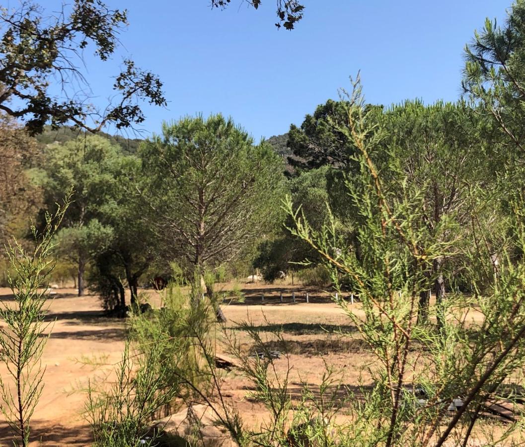 PETRA LEGNA - Résidence les jardins du golfe Porto Vecchio Esterno foto