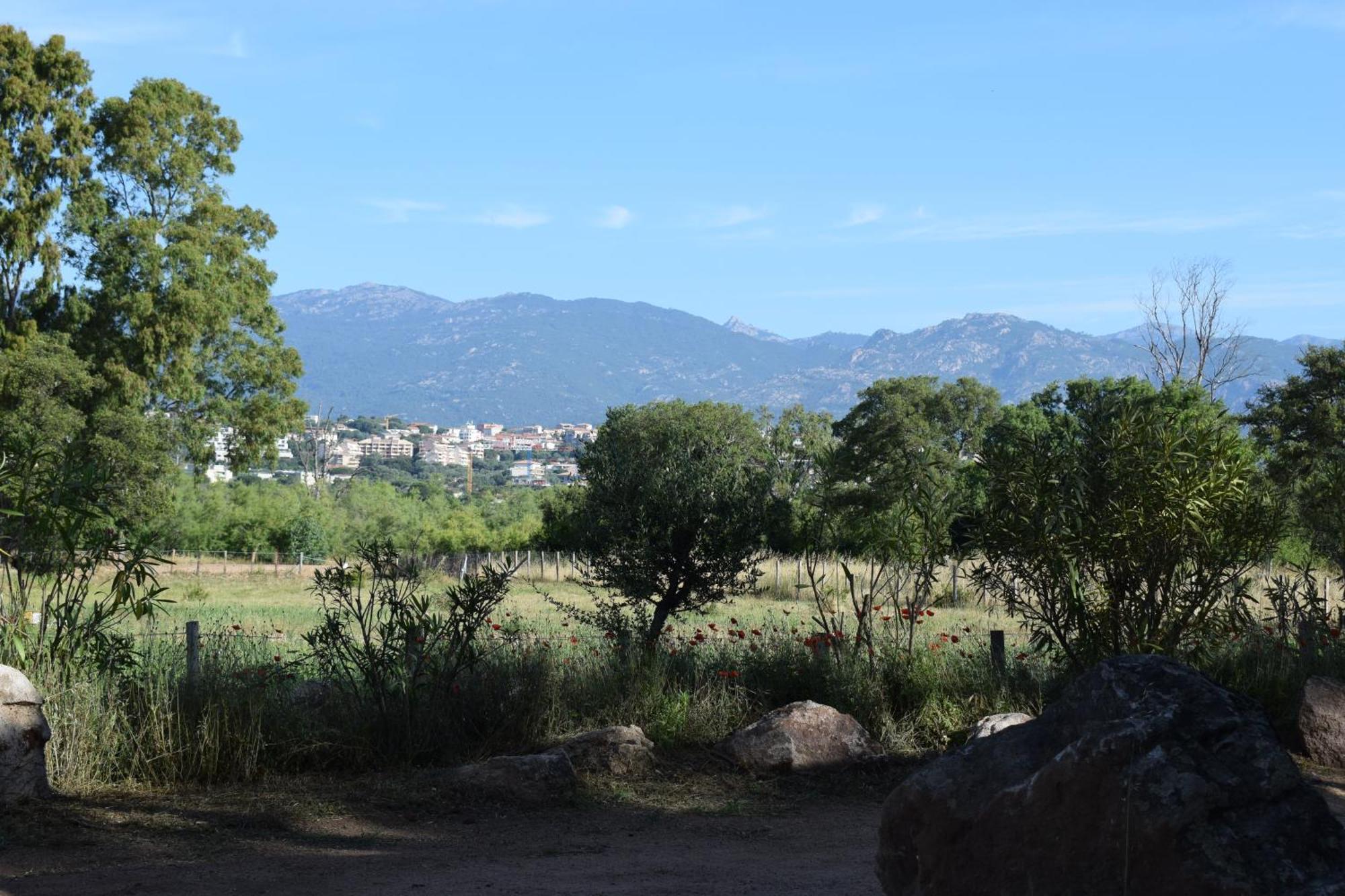 PETRA LEGNA - Résidence les jardins du golfe Porto Vecchio Esterno foto