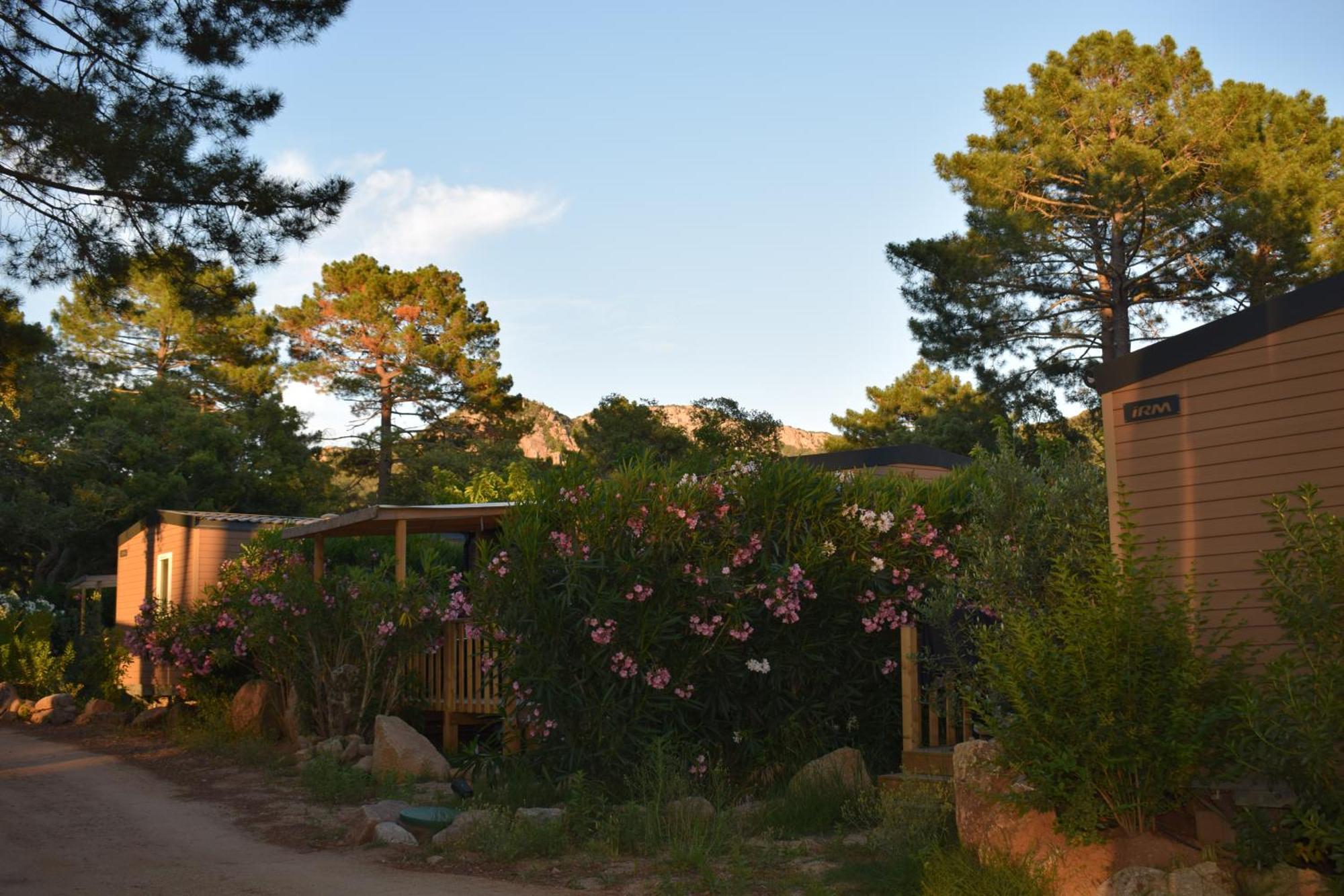 PETRA LEGNA - Résidence les jardins du golfe Porto Vecchio Esterno foto